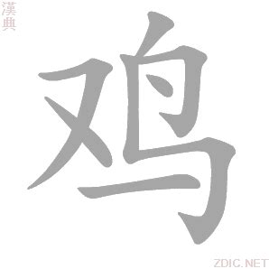 雞垂意思|鸡的解释